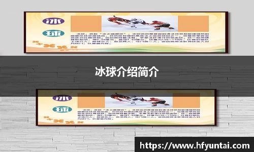 冰球介绍简介